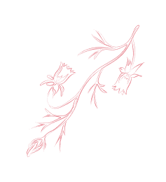 jiuyou